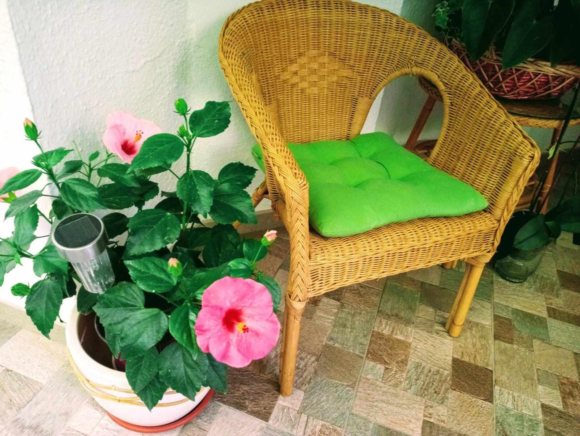 Appartement La Carihuela A 5 Minutos De La Playavistas Al Mar à Torremolinos Extérieur photo