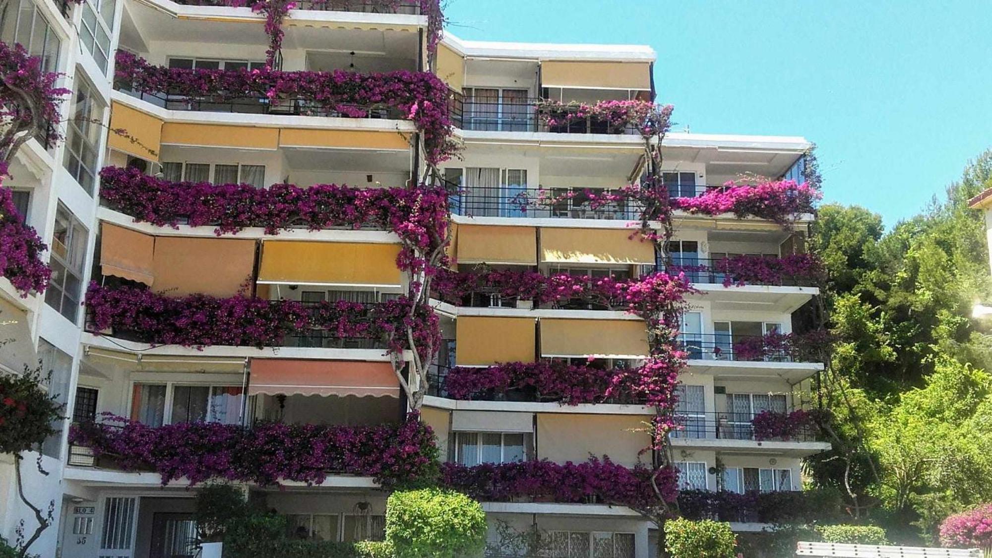 Appartement La Carihuela A 5 Minutos De La Playavistas Al Mar à Torremolinos Extérieur photo
